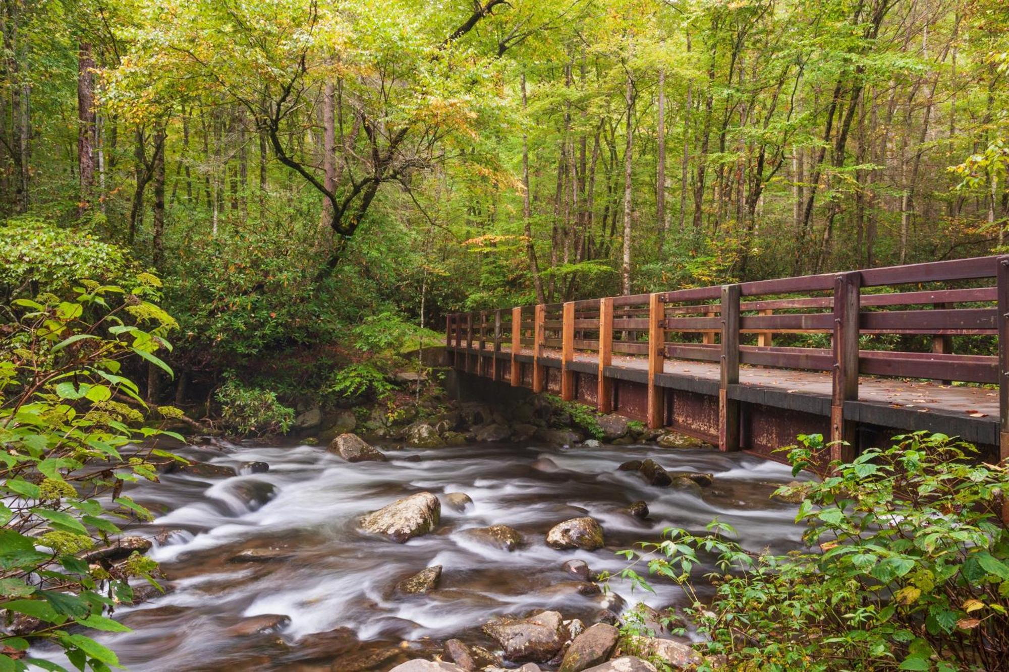 The Mason Jar, Hot Tub, Wifi, 1089 Free Tickets Each Paid Day, Dollywood And More! Pigeon Forge Bagian luar foto